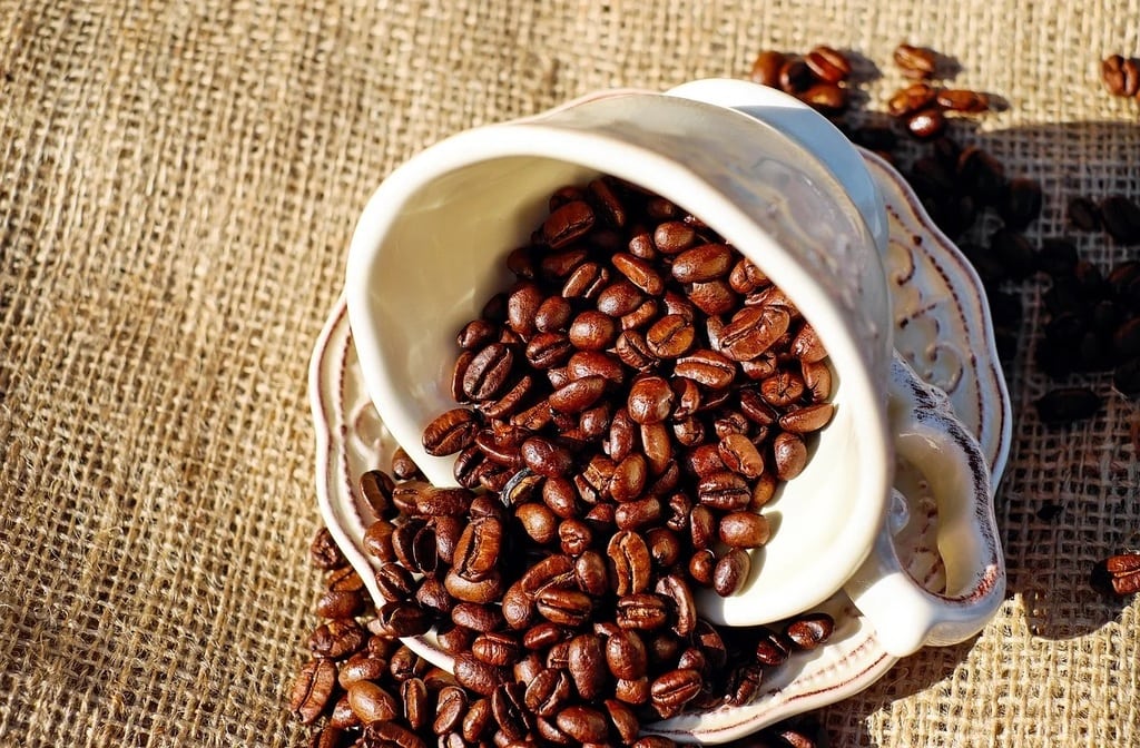 L'art de la mesure, un savoir-faire indispensable pour un bon café